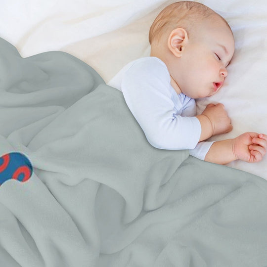 Phish Your Pet Cat Donuts Gift-ready Throw Blanket