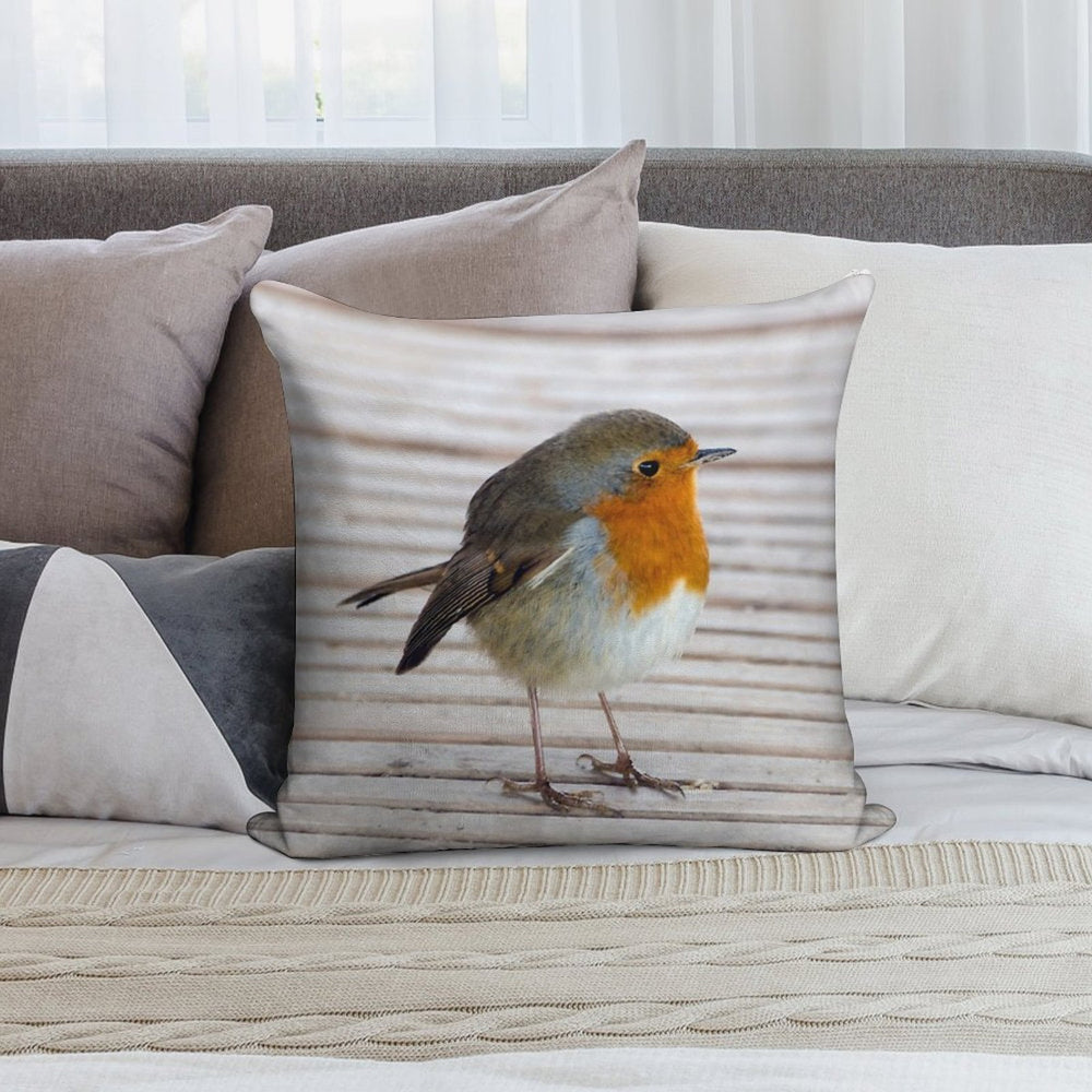 Robin Soft Fade-Resistant Throw Pillow