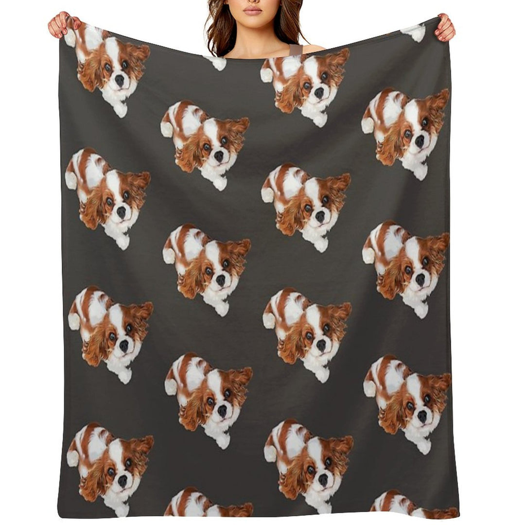 Cavalier King Charles Spaniel Looking Up Comfort Throw Blanket