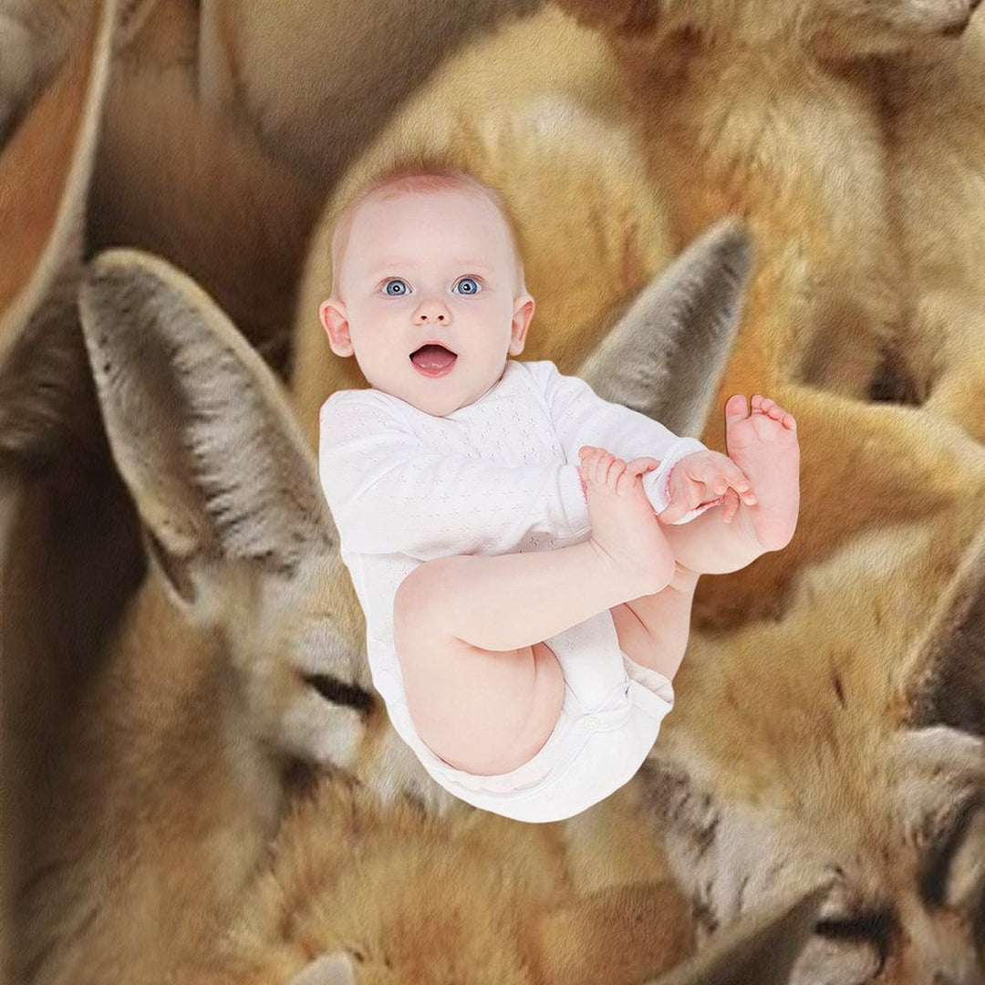 Fennecs Quick-dry Throw Blanket