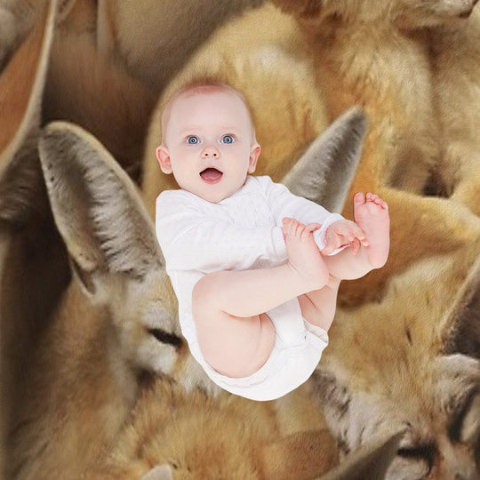 Fennecs Quick-dry Throw Blanket