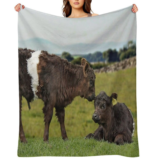 Belted Galloway Sustainable Throw Blanket