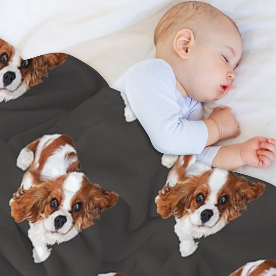 Cavalier King Charles Spaniel Looking Up Comfort Throw Blanket