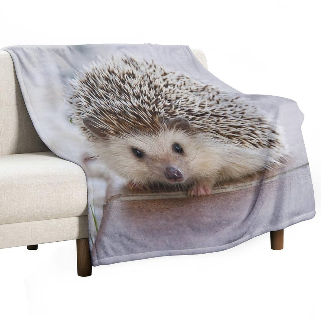Hedgehog Comfort Throw Blanket