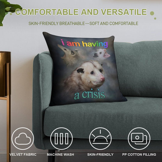 I Am Having A Crisis Possum Word Art Soft Bedroom Essential Throw Pillow