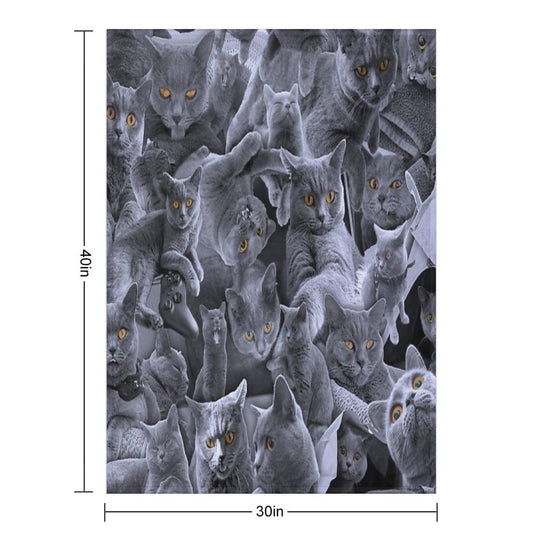 British Shorthair Cat Collage Anti-pilling Throw Blanket
