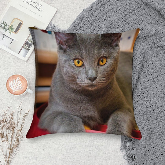 Chartreux Cat Portrait with Golden Eyes Soft Luxury Feel Throw Pillow