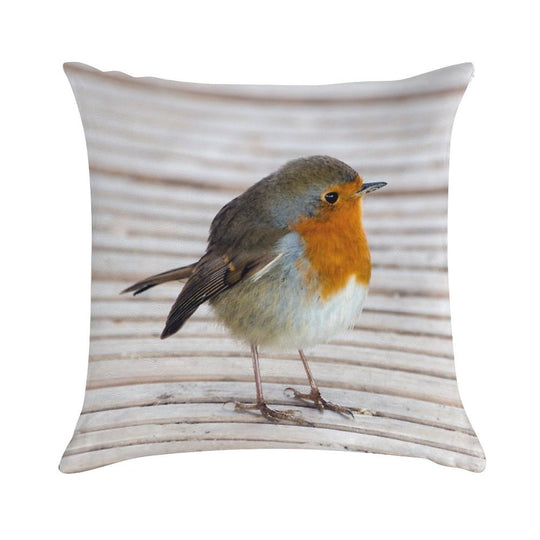 Robin Soft Fade-Resistant Throw Pillow