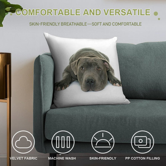 Blue Staffordshire Bull Terrier Super Cute Puppy Eyes Soft Luxury Feel Throw Pillow