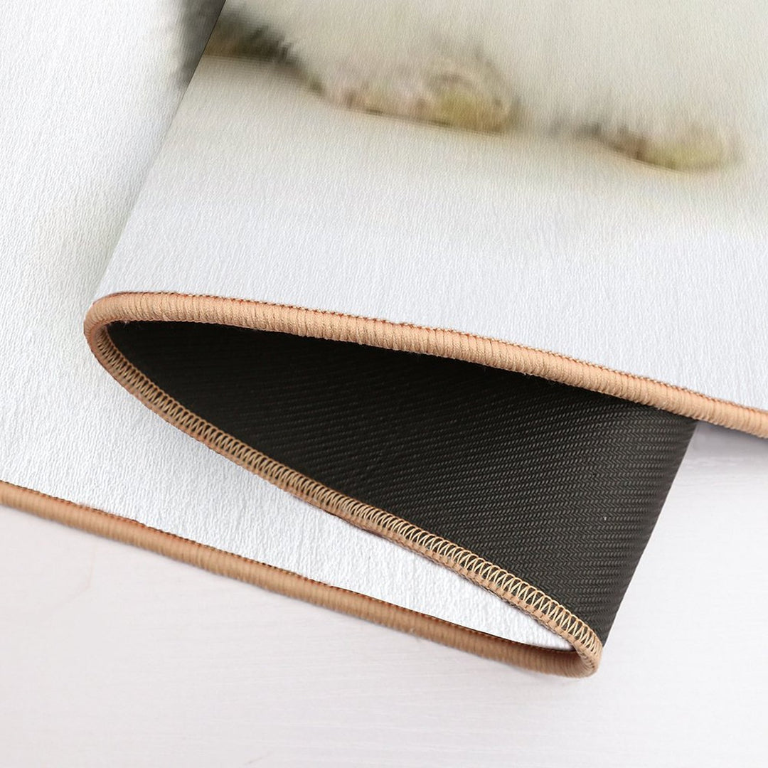 Baby Blue Dutch Rabbits  Odorless Bath Mat