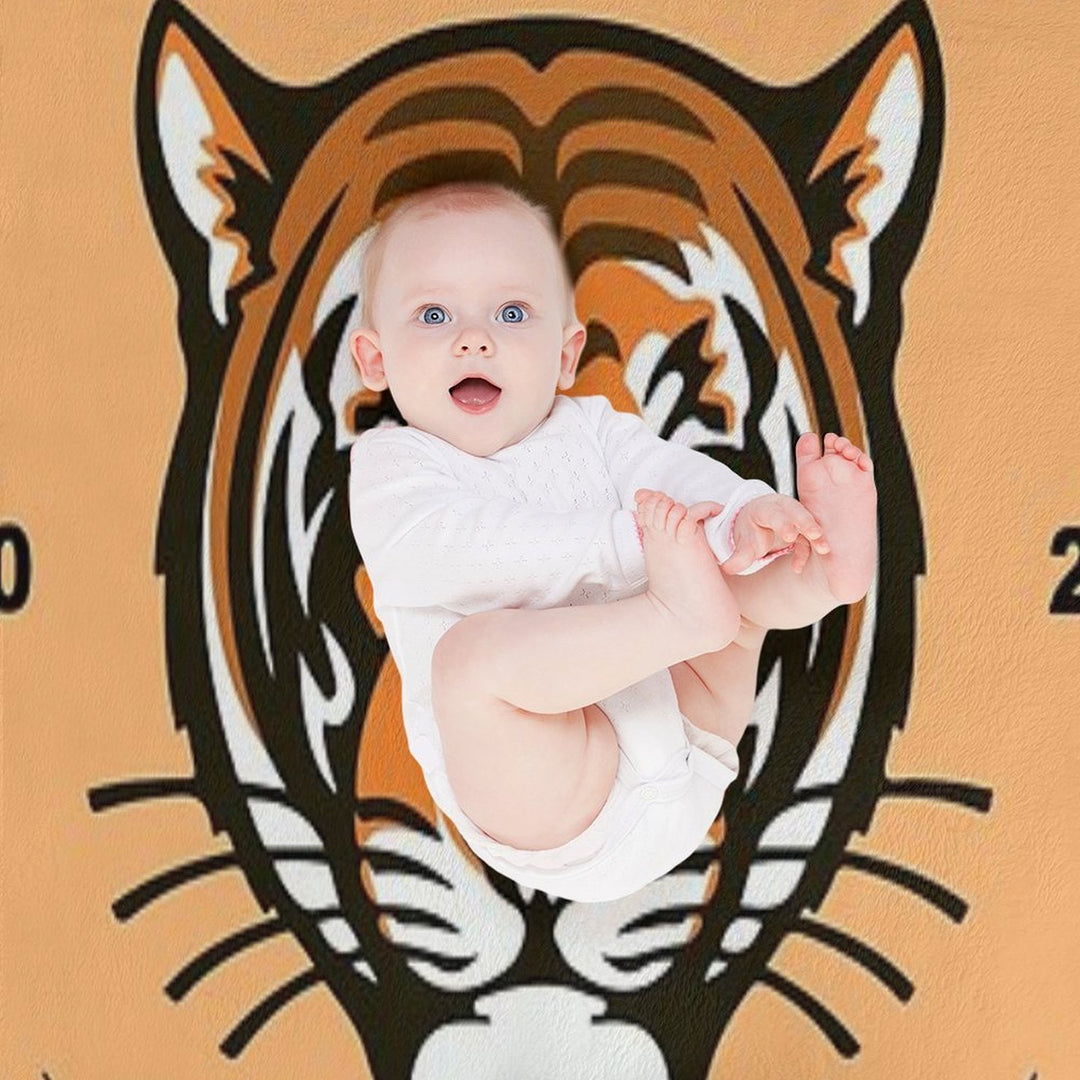 Princeton Arc 2025 Lightweight Throw Blanket