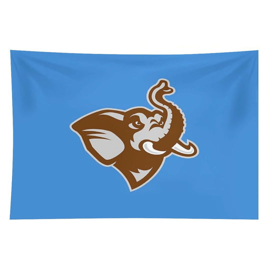 Tufts University Tapestry