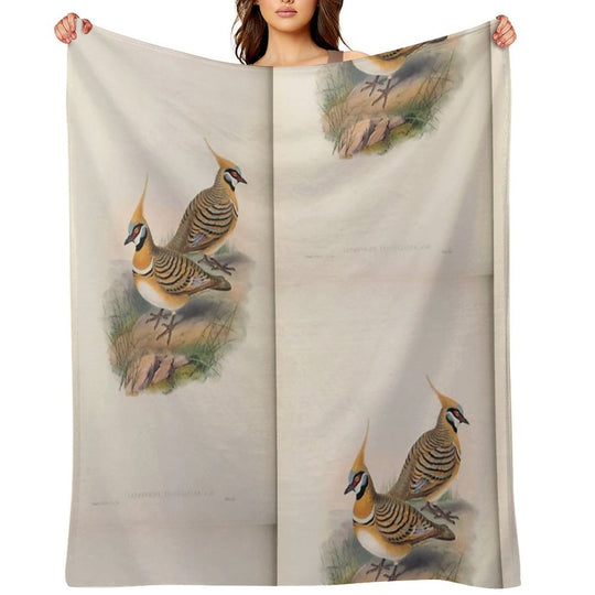 John Gould The Birds of Australia 1869 069 Lophophaps Leucogaster Compact Throw Blanket