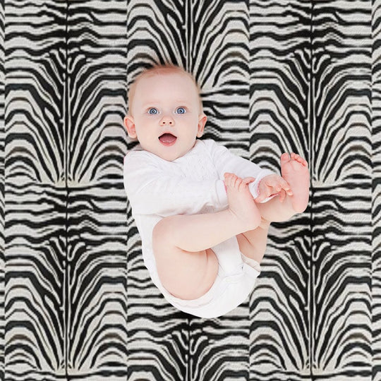 Zebra Plush Throw Blanket