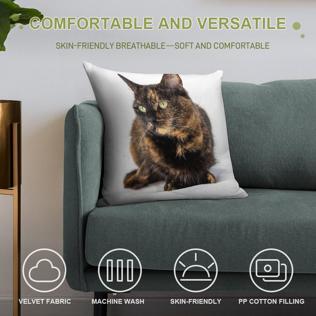 Tortoiseshell Cat Soft Decorative Cover Throw Pillow