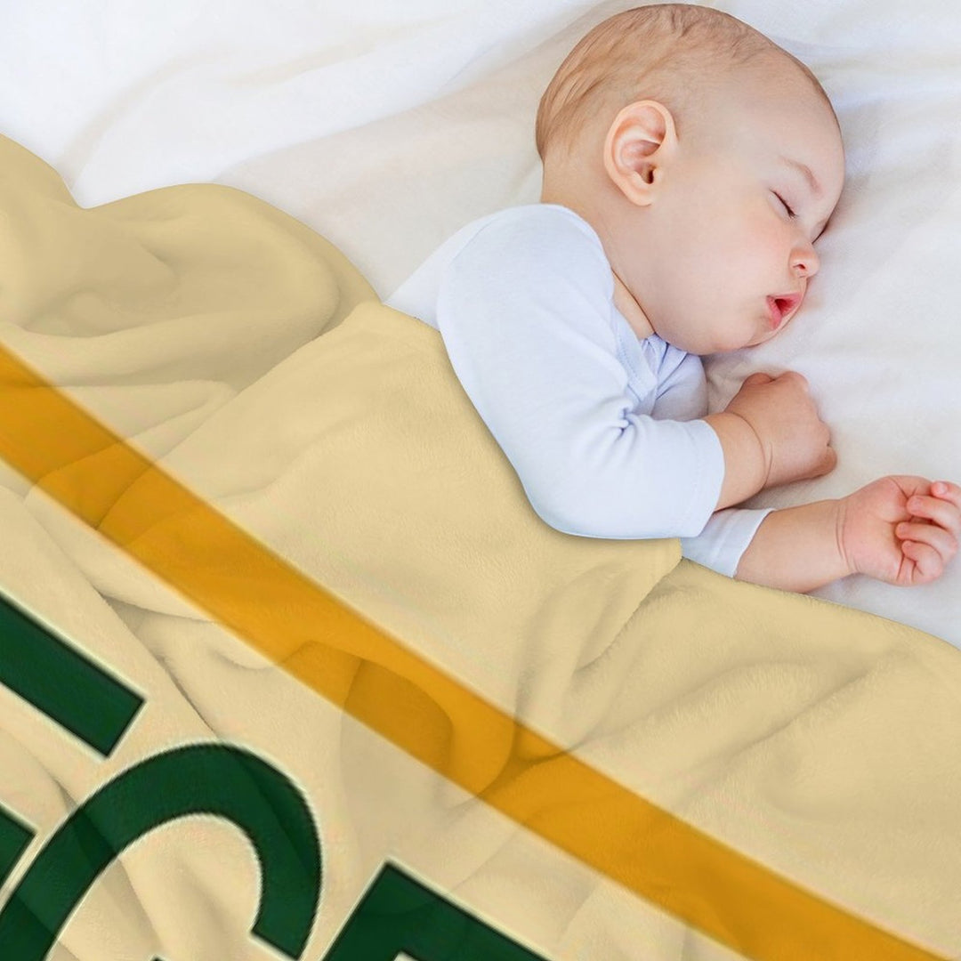 Hegels Phenomenology of Spirit - Book Cover, Aesthetic, Philosophy, Dialectics Comfort Throw Blanket