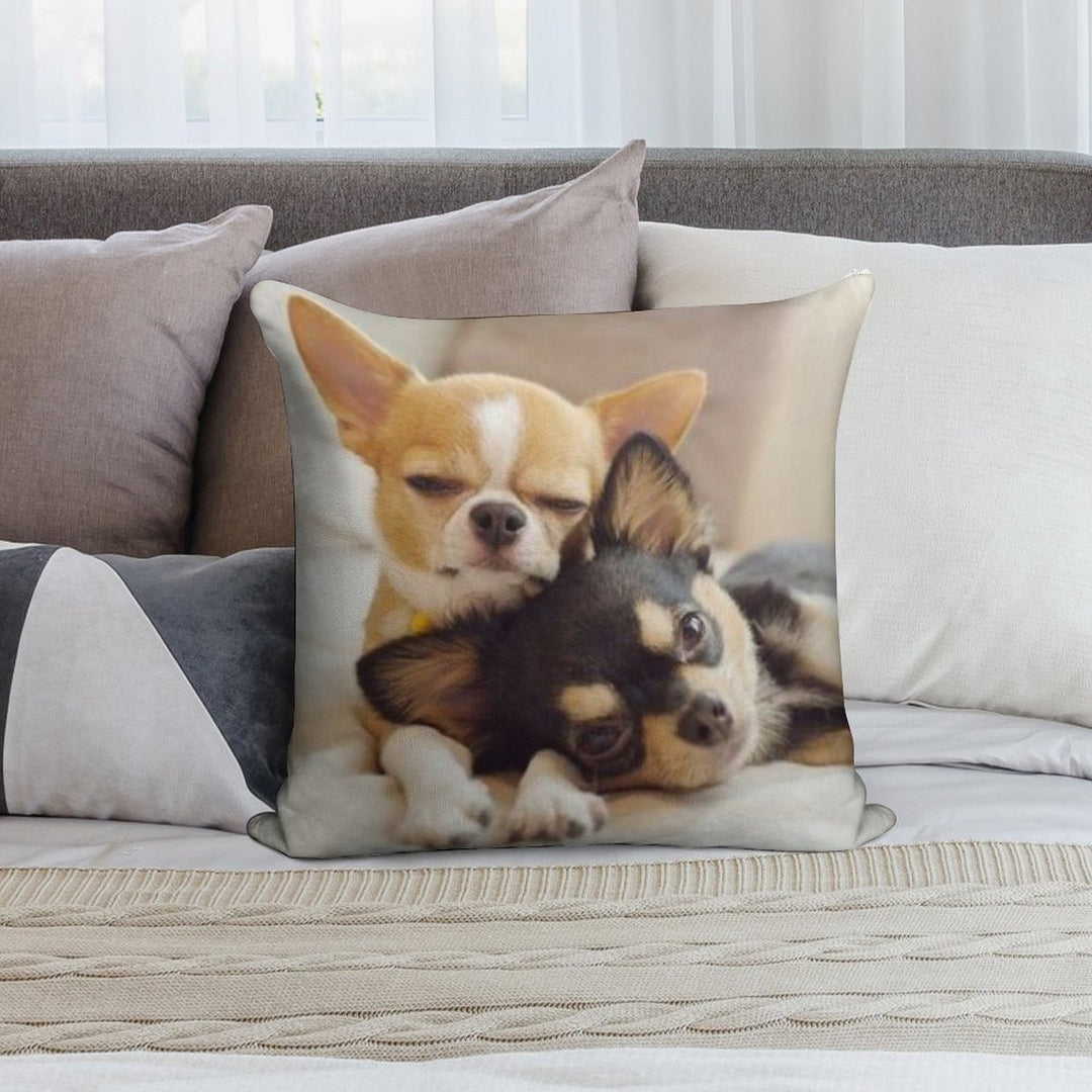 Two Cute Chihuahua Puppies Photograph Soft Easy Maintenance Throw Pillow