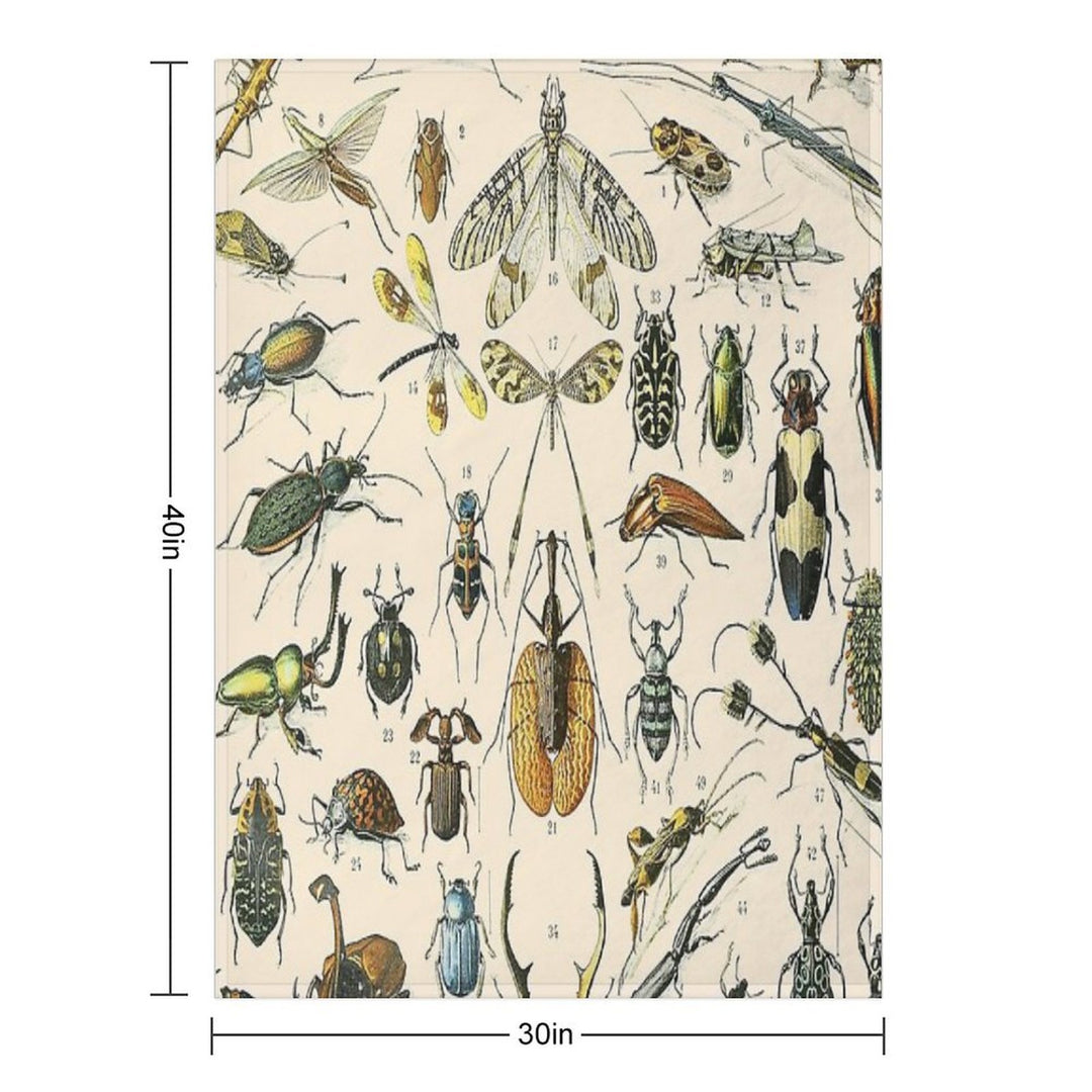 Insects Vintage Bug Chart Gift-ready Throw Blanket