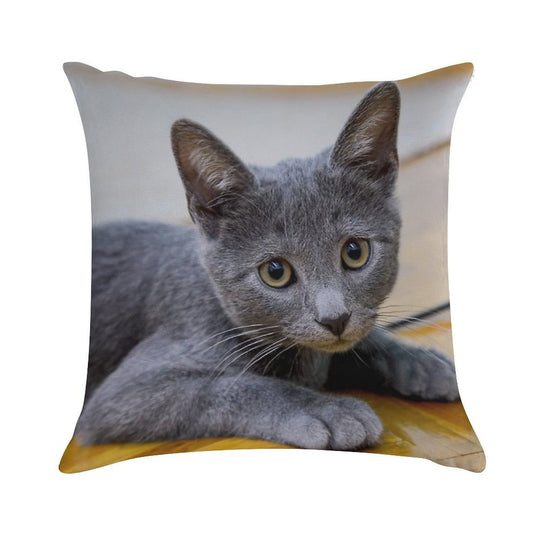 Russian Blue Cat - Cute Kitten Photo Soft Shrink-Resistant Throw Pillow