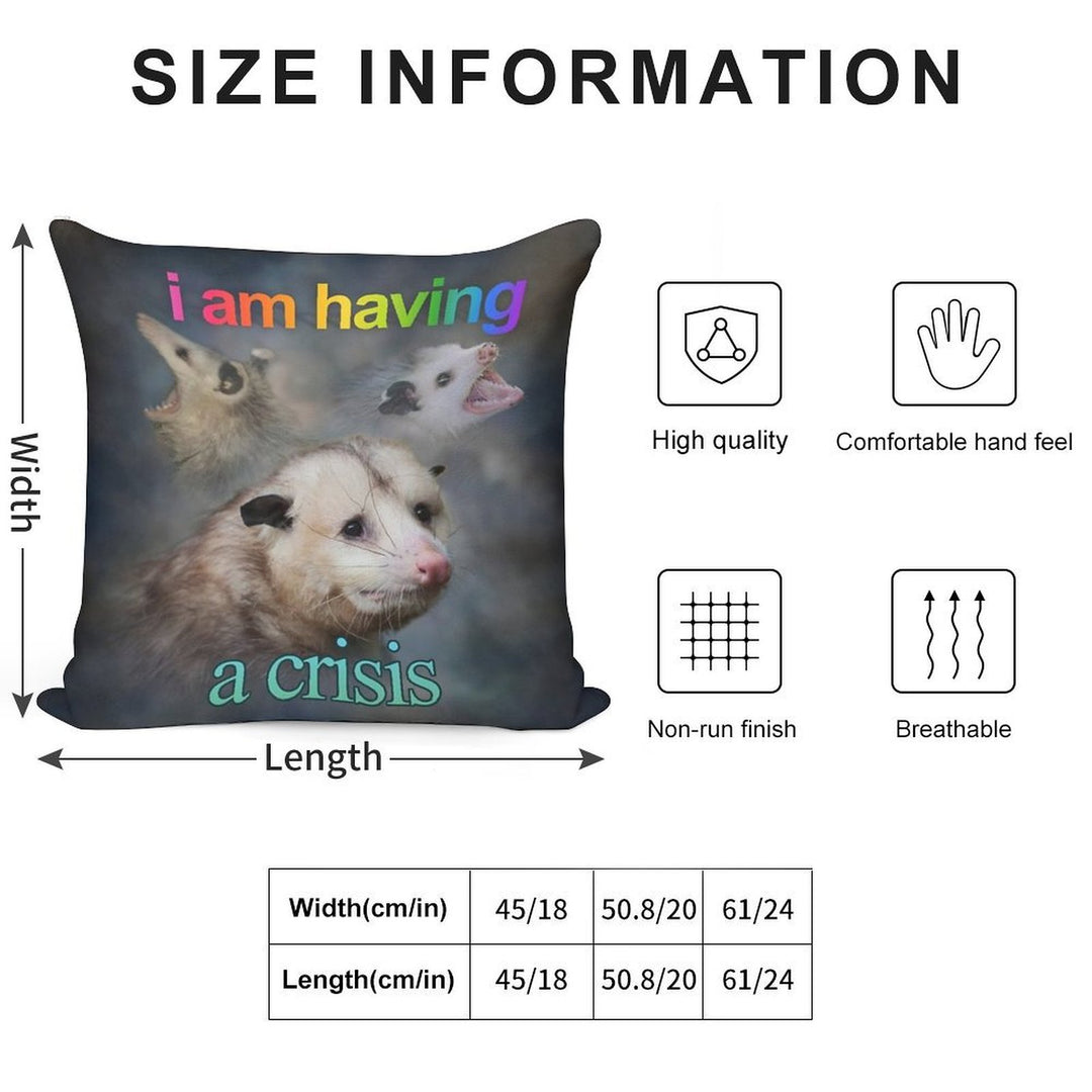 I Am Having A Crisis Possum Word Art Soft Bedroom Essential Throw Pillow