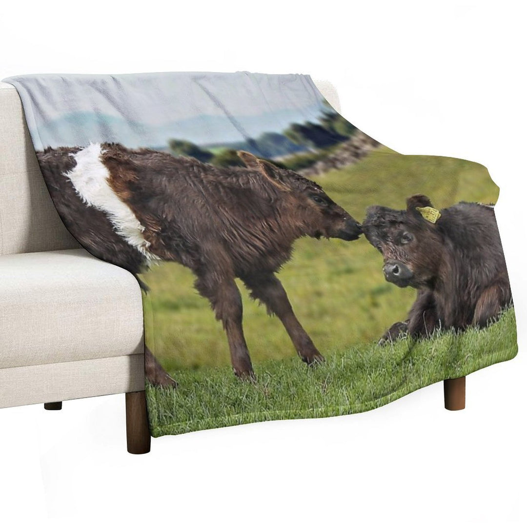 Belted Galloway Lightweight Throw Blanket
