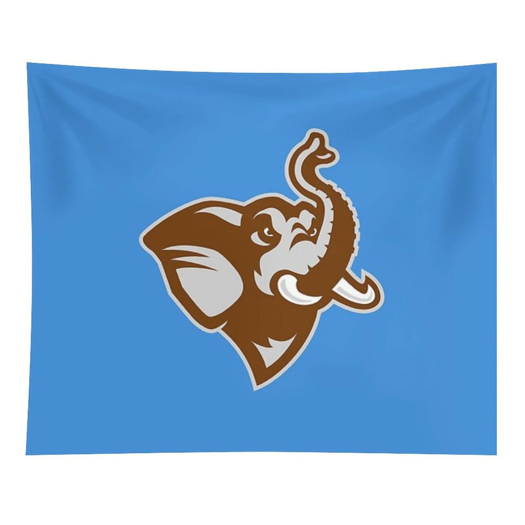 Tufts University Tapestry