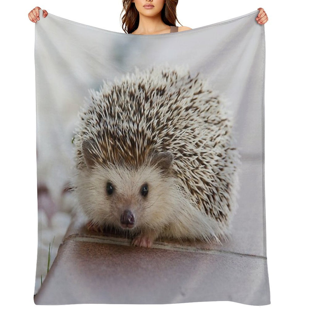 Hedgehog Comfort Throw Blanket