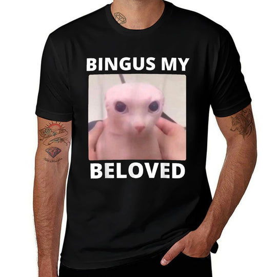 Bald Bingus My Beloved Hairless Sphinx Cat Bingus Cat Meme  Relaxed-fit T-Shirt