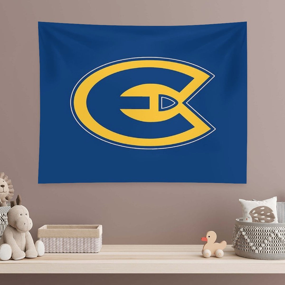 University of Wisconsin–Eau Claire Tapestry