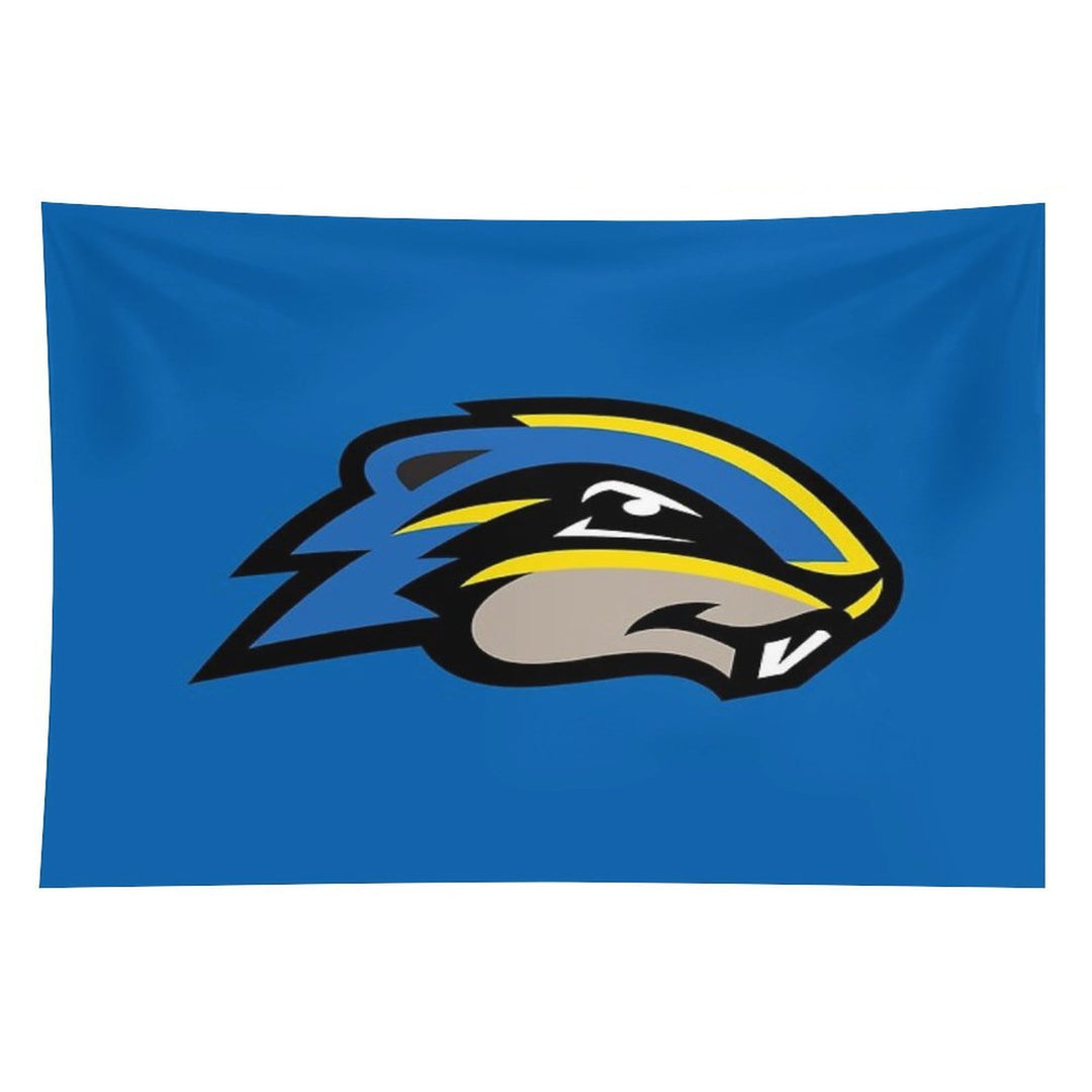 The Goucher Merch Tapestry