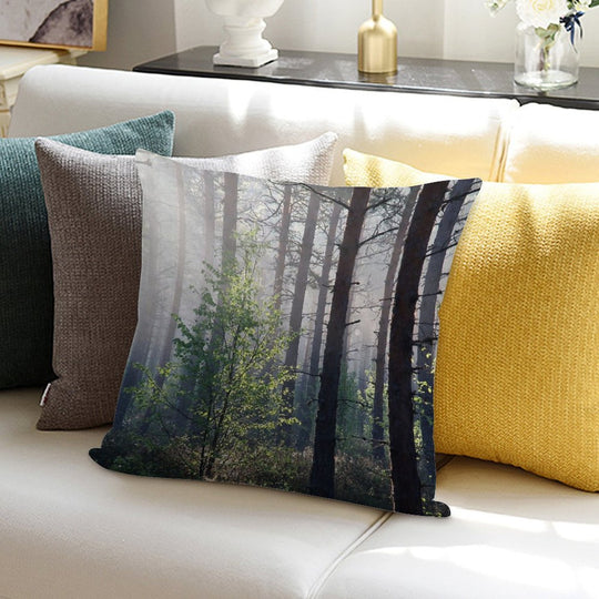 10.6.2017 Young Birch Soft Easy Maintenance Throw Pillow