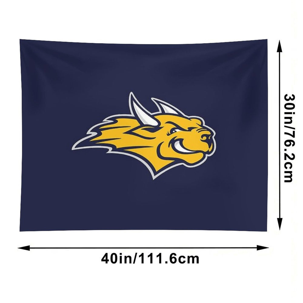 Webster University Tapestry