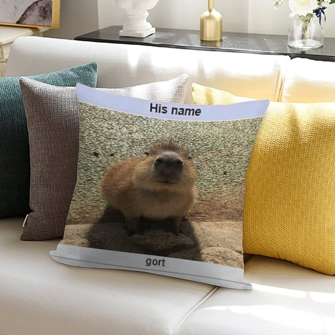 Gort Soft Hidden Zipper Throw Pillow