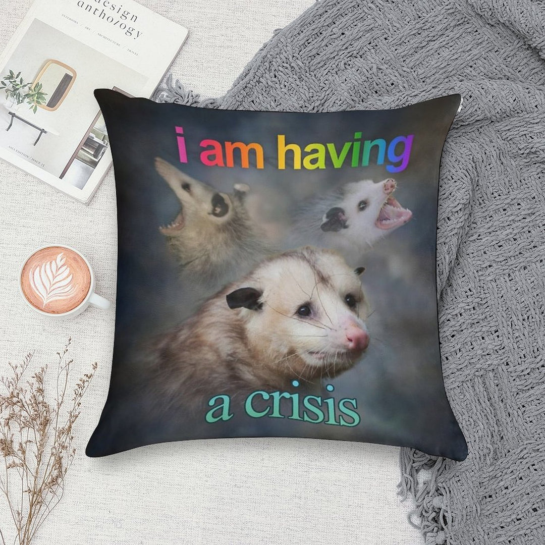 I Am Having A Crisis Possum Word Art Soft Bedroom Essential Throw Pillow