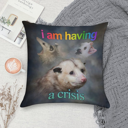 I Am Having A Crisis Possum Word Art Soft Bedroom Essential Throw Pillow