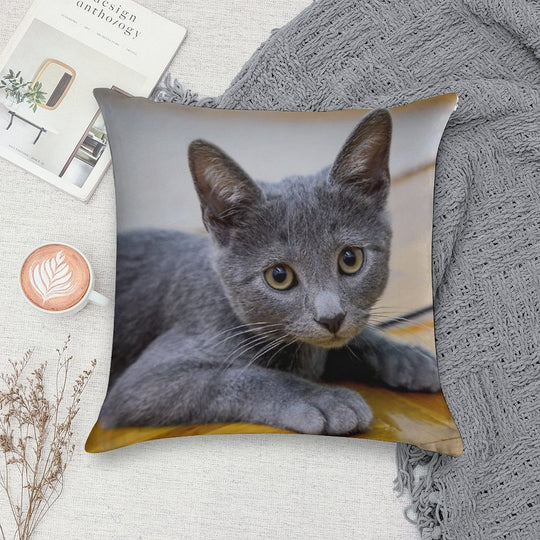 Russian Blue Cat - Cute Kitten Photo Soft Shrink-Resistant Throw Pillow