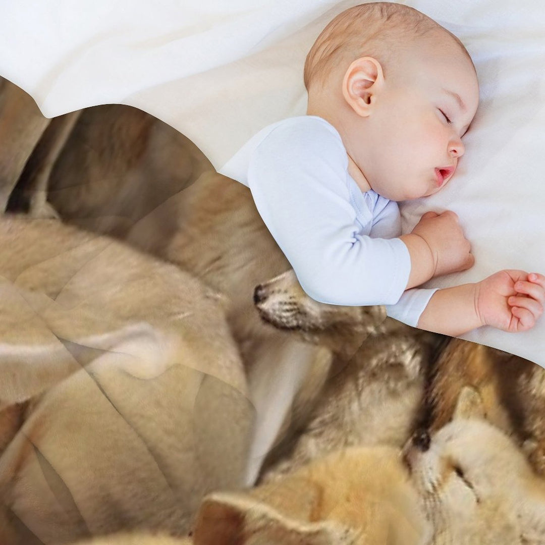 Fennecs Quick-dry Throw Blanket