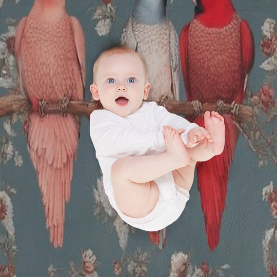 Lovebirds Velvety-soft Throw Blanket