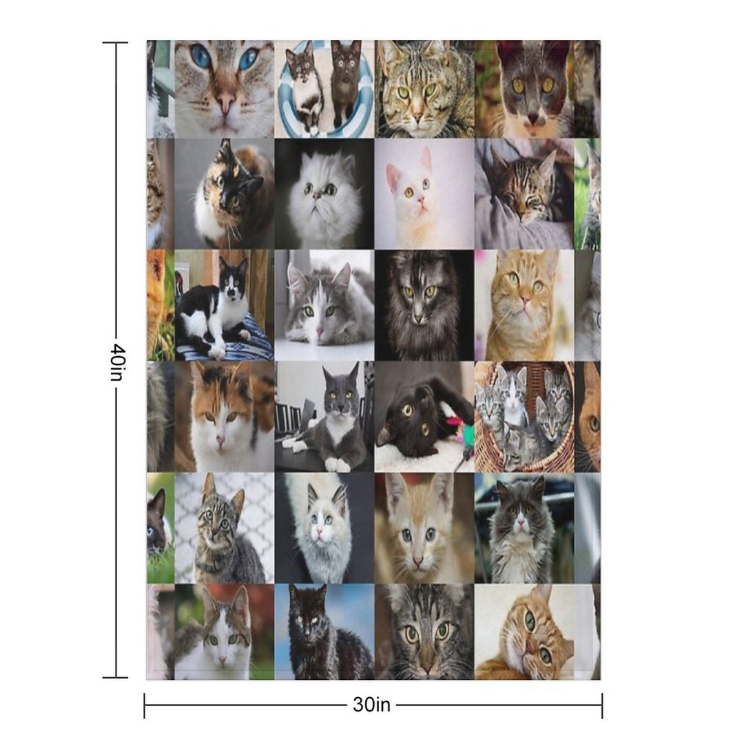 Cats Versatility Throw Blanket
