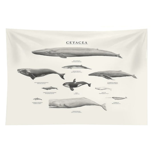 Cetacea Tapestry