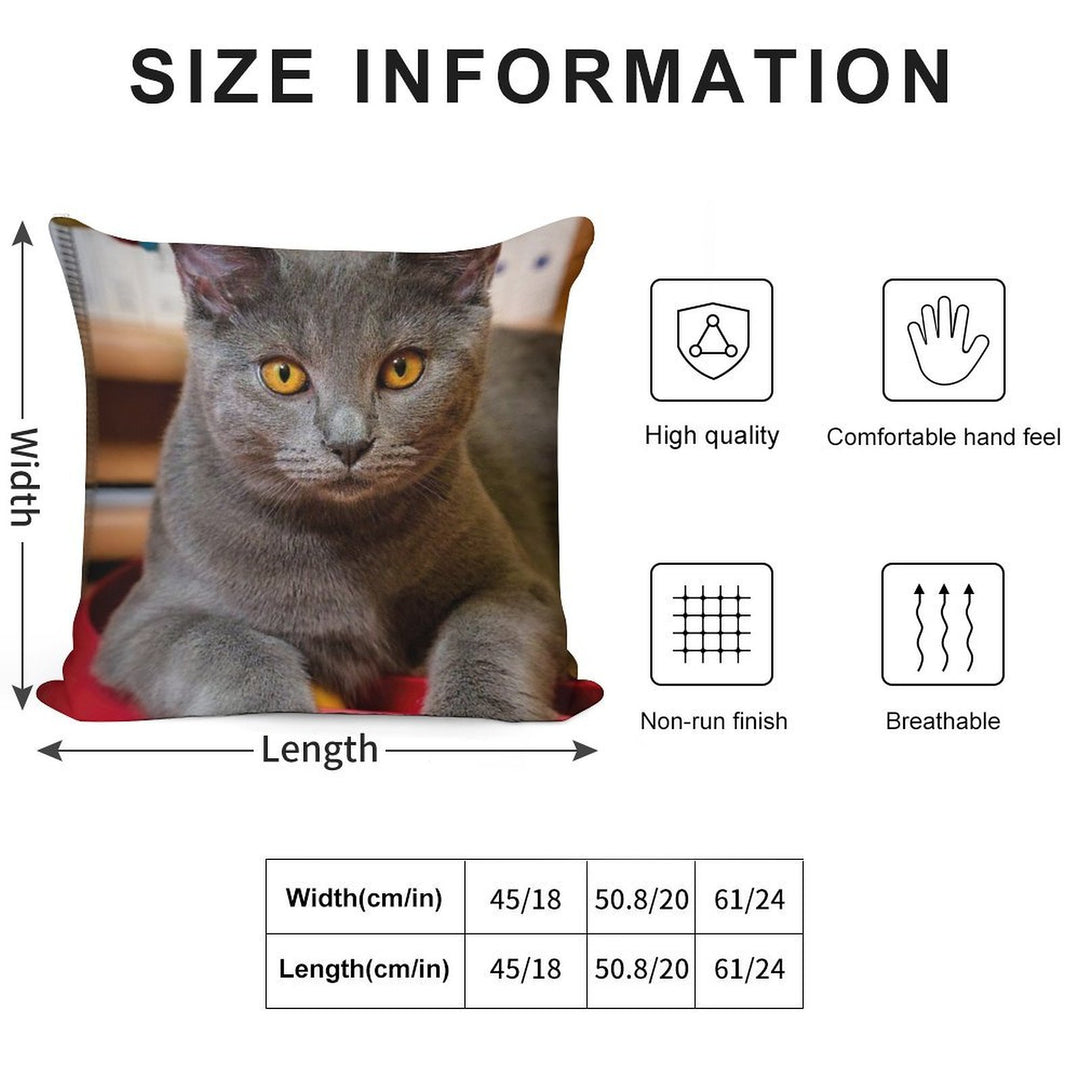 Chartreux Cat Portrait with Golden Eyes Soft Luxury Feel Throw Pillow