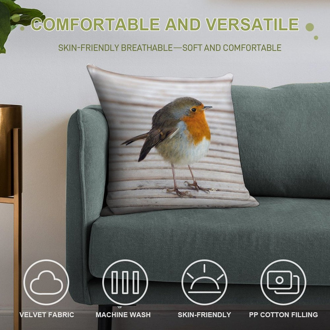 Robin Soft Fade-Resistant Throw Pillow