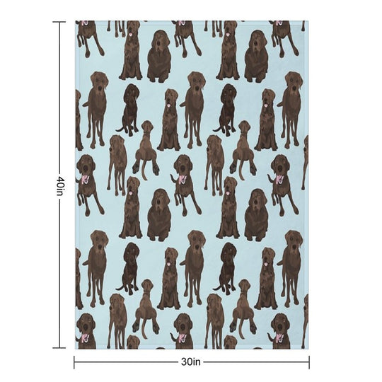 Chocolate Lab Gift-ready Throw Blanket