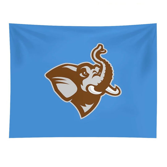 Tufts University Tapestry