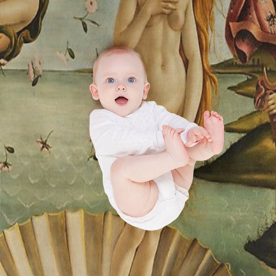 Sandro Botticelli -Birth of Venus Machine-washable Throw Blanket