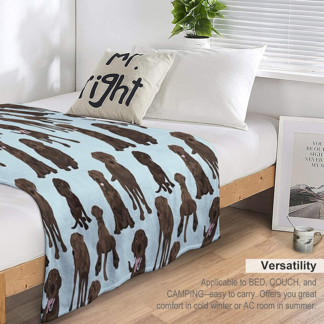 Chocolate Lab Gift-ready Throw Blanket