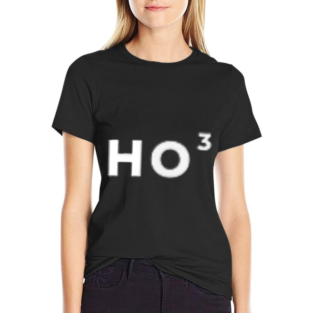 Ho3 Subtle Ho Squared Christmas Minimal Funny Math Simple  Oversized Silhouette T-Shirt