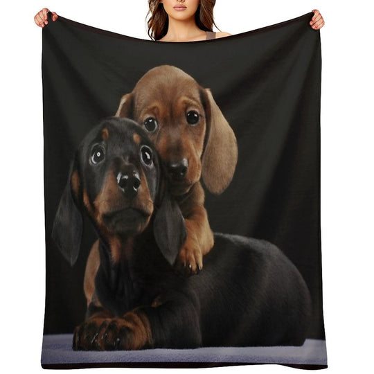 Dachshund Dog Portrait Photo Pupies Durable Throw Blanket