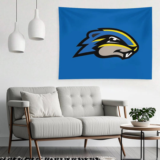 The Goucher Merch Tapestry