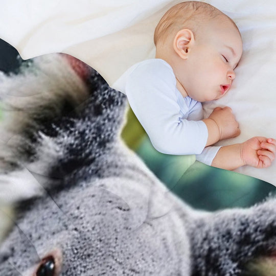 Australian Koala Family Anti-pilling Throw Blanket